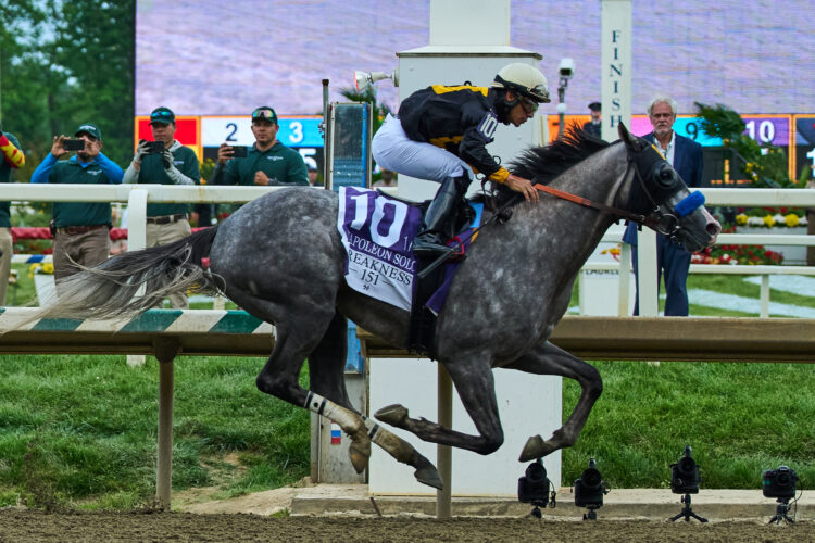 Trainer wants Preakness winner Napoleon Solo to race Derby winner Golden Tempo